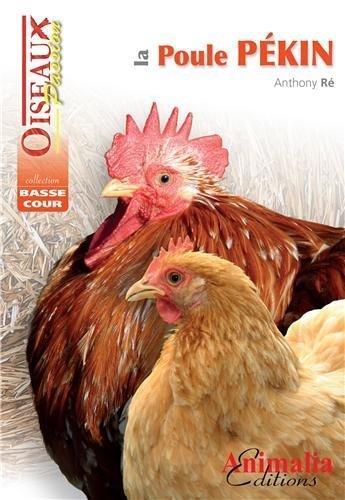 Couverture du livre « La poule Pékin » de Anthony Re aux éditions Animalia