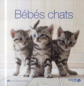 Couverture du livre « Bébés chats » de  aux éditions Solar