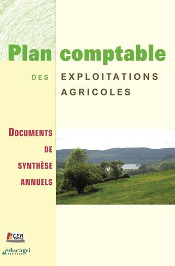 Couverture du livre « Plan comptable des exploitations agricoles ; documents de synthèse annuels » de  aux éditions Educagri