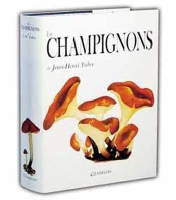 Couverture du livre « Les Champignons » de Patrick Joly et Yves Delange et Diane De Margerie et Claude Cassanel aux éditions Citadelles & Mazenod