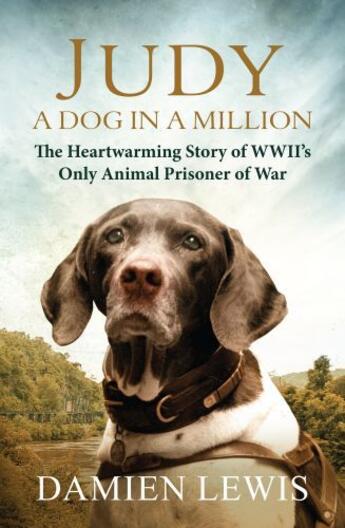 Couverture du livre « Judy: A Dog in a Million » de Damien Lewis aux éditions Quercus Publishing Digital