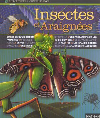 Couverture du livre « Insectes et araignees » de Burnie/Fauchet aux éditions Nathan