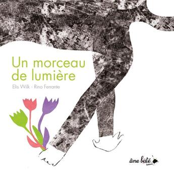 Couverture du livre « Morceau de lumiere » de R/Wilk E Ferrante aux éditions Ane Bate