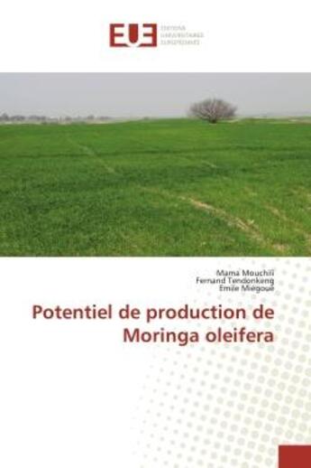 Couverture du livre « Potentiel de production de Moringa oleifera » de Mama Mouchili aux éditions Editions Universitaires Europeennes