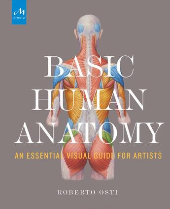 Couverture du livre « Basic human anatomy : an essential visual guide for artists » de Roberto Osti aux éditions Monacelli Studio