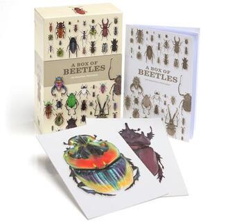 Couverture du livre « A box of beetles /anglais » de Bouchard Patrice aux éditions Ivy Press