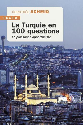 Couverture du livre « La Turquie en 100 questions : la puissance opportuniste » de Dorothee Schmid aux éditions Tallandier