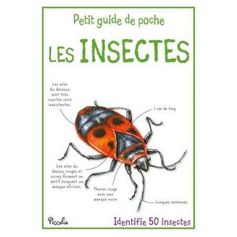 Couverture du livre « Les insectes ; identifie 50 insectes » de  aux éditions Piccolia