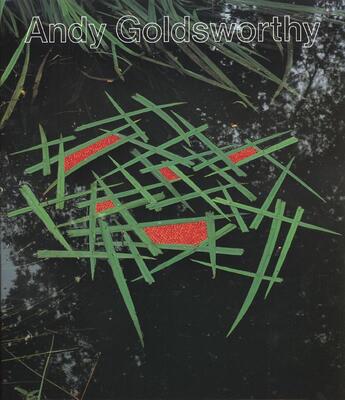 Couverture du livre « Andy Goldsworthy crée avec la nature » de Andy Goldsworthy aux éditions Anthese
