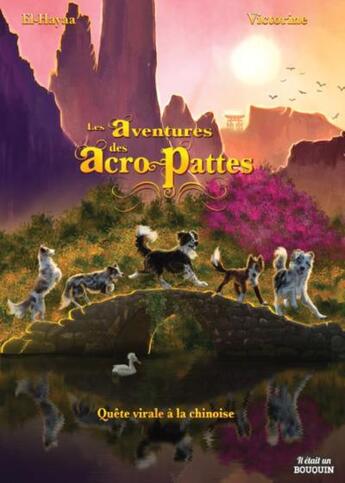 Couverture du livre « Les aventures des acro-pattes Tome 1 : Quête virale à la chinoise » de Victorine et El-Hayaa aux éditions Il Etait Un Bouquin