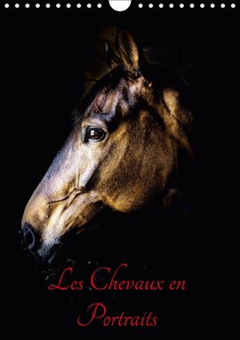 Couverture du livre « Chevaux en portraits calendrier mural 2018 din a4 vertical - portraits de chevaux en libert » de Bertrand X aux éditions Calvendo