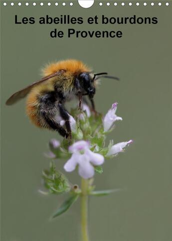 Couverture du livre « Les abeilles et bourdons de Provence (Calendrier mural 2020 DIN A4 vertical) ; Nos amis les abeilles et les bourdons solitaires et sauvages (Calendrier mensuel, 14 Pages ) » de Martine Julien aux éditions Calvendo