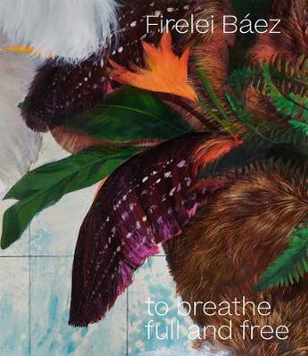 Couverture du livre « Firelei Baez : to breathe full and free » de Firelei Baez aux éditions Gregory Miller