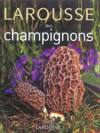 Couverture du livre « Larousse Des Champignons » de Patrick Redeuilh aux éditions Larousse