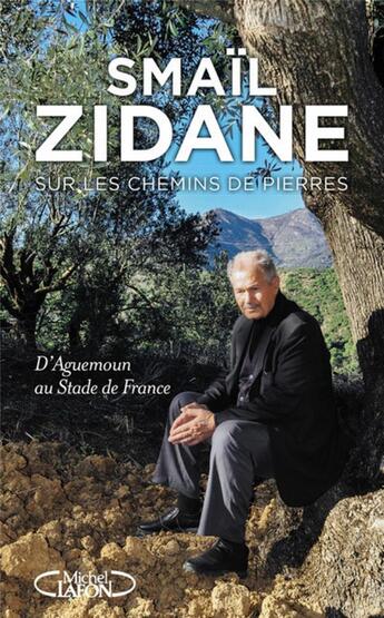 Couverture du livre « Sur les chemins de pierres ; d'Aguemoun au Stade de France » de Smail Zidane aux éditions Michel Lafon