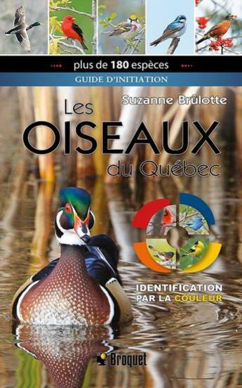 Couverture du livre « Les oiseaux du Québec : guide d'initiation, identification par la couleur » de Suzanne Brulotte aux éditions Broquet