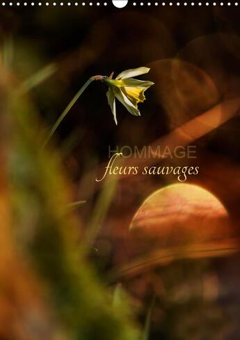 Couverture du livre « Petit hommage aux fleurs de no » de Cecile Gans aux éditions Calvendo