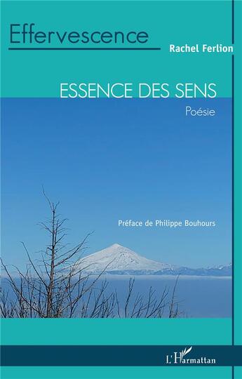 Couverture du livre « Effervescence » de Rachel Ferlion aux éditions L'harmattan