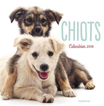 Couverture du livre « Calendrier chiots (édition 2018) » de  aux éditions Hugo Image