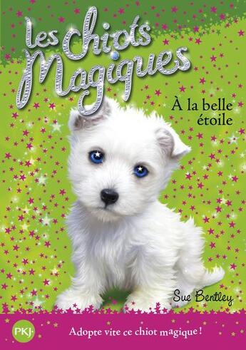 Couverture du livre « Les chiots magiques Tome 6 : à la belle étoile » de Sue Bentley aux éditions Pocket Jeunesse