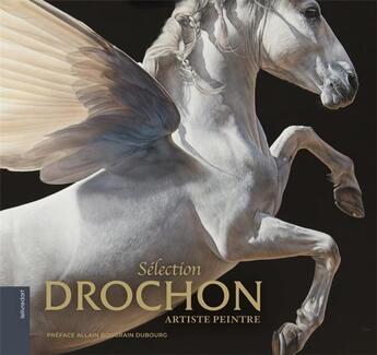 Couverture du livre « Drochon ; sélection » de Christophe Drochon aux éditions Le Livre D'art