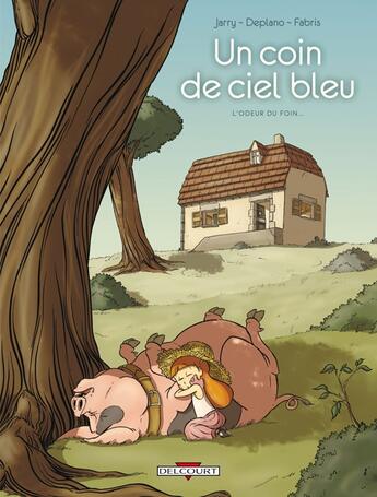 Couverture du livre « Un coin de ciel bleu t.1 ; l'odeur du foin... » de Silvia Fabris et Nicolas Jarry et Paolo Deplano aux éditions Delcourt