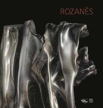 Couverture du livre « Monique Rozanès » de Monique Rozanes aux éditions Somogy