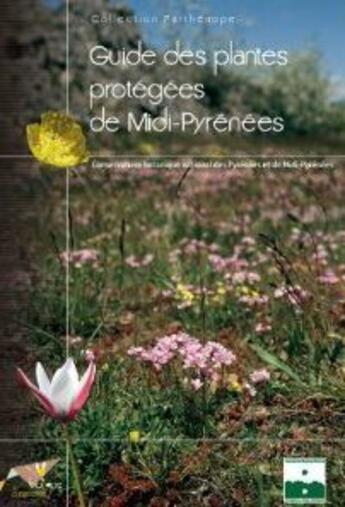 Couverture du livre « Guide des plantes protégées de Midi-Pyrénées » de  aux éditions Biotope