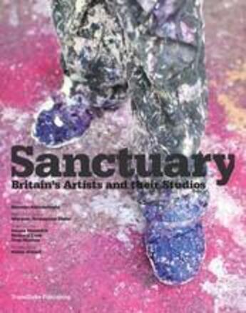 Couverture du livre « Sanctuary » de Hossein Amirsadeghi aux éditions Thames & Hudson