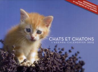 Couverture du livre « L'agenda-calendrier 2015 ; chats et chatons » de  aux éditions Hugo Image