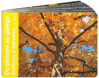 Couverture du livre « Du platane au gingko : histoires d'automne » de Ianna Andreadis aux éditions Des Grandes Personnes