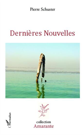 Couverture du livre « Dernières nouvelles » de Pierre Schuster aux éditions L'harmattan