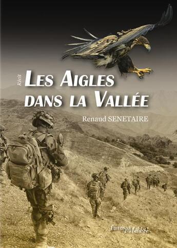 Couverture du livre « Les aigles dans la vallée » de Renaud Senetaire aux éditions Melibee