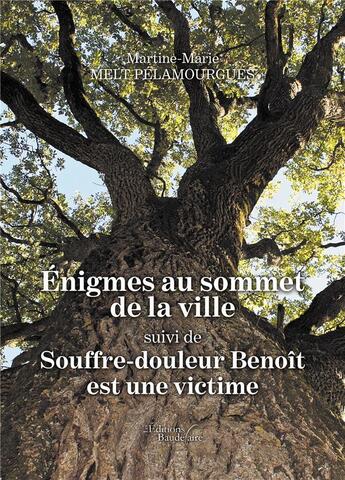 Couverture du livre « Énigmes au sommet de la ville ; souffre-douleur Benoît est une victime » de Martine-Marie Melt-Pelamourgues aux éditions Baudelaire