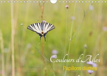 Couverture du livre « Couleurs d ailes calendrier mural 2020 din a4 horizontal - papillons diurnes calendrier m » de Makhloufi Djama aux éditions Calvendo