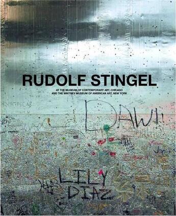 Couverture du livre « Rudolf Stingel » de Carrion-Murayari G. aux éditions Hatje Cantz