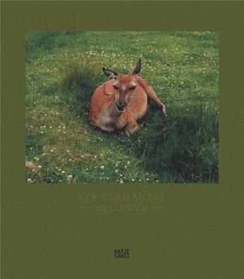 Couverture du livre « Eva vermandel splinter » de Vermandel Eva/Forbes aux éditions Hatje Cantz