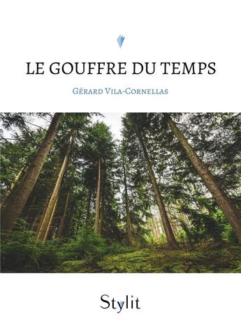 Couverture du livre « Le gouffre du temps » de Gerard Vila-Cornellas aux éditions Stylit