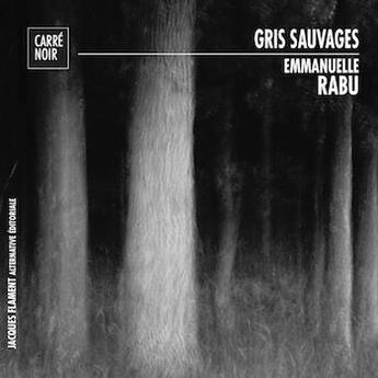 Couverture du livre « Gris sauvages » de Emmanuelle Rabu aux éditions Jacques Flament