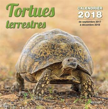 Couverture du livre « Tortues terrestres (édition 2018) » de  aux éditions Artemis