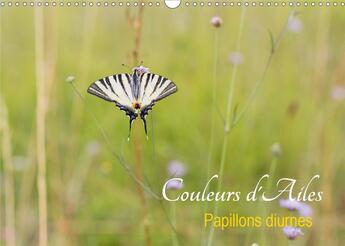 Couverture du livre « Couleurs d ailes calendrier mural 2020 din a3 horizontal - papillons diurnes calendrier m » de Makhloufi Djama aux éditions Calvendo