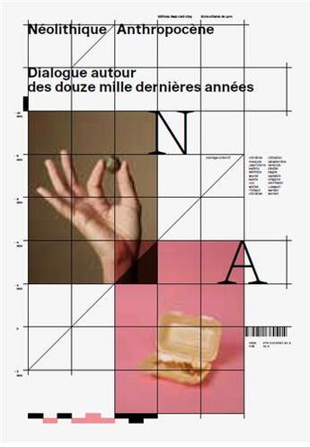 Couverture du livre « Neolithique anthropocene /francais » de Lussault/Demoule/Del aux éditions Deux-cent-cinq