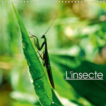 Couverture du livre « L'insecte (édition 2020) » de Thebault Patric aux éditions Calvendo