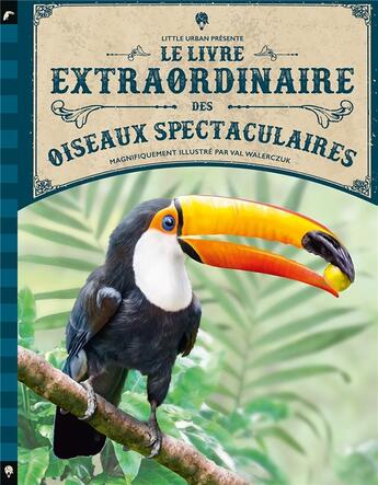 Couverture du livre « Le livre extraordinaire des oiseaux spectaculaires » de Tom Jackson aux éditions Little Urban