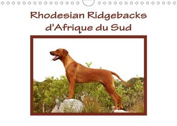 Couverture du livre « Rhodesian ridgebacks d afrique du sud calendrier mural 2020 din a4 horizontal - rhodesian ridgebacks (édition 2020) » de Van Wyk Www.G aux éditions Calvendo