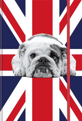 Couverture du livre « Carnet de notes a5 british bulldog » de  aux éditions Cartotheque