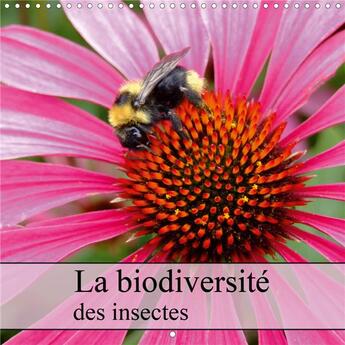 Couverture du livre « La biodiversite des insectes calendrier mural 2020 300 300 mm square - plan serre d insectes de la p (édition 2020) » de Laimgruber Dagm aux éditions Calvendo