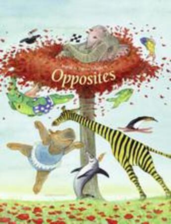 Couverture du livre « Opposites » de Ingrid Schubert aux éditions Lemniscaat