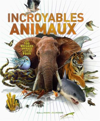 Couverture du livre « Incroyables animaux » de Derek Harvey aux éditions Gallimard-jeunesse