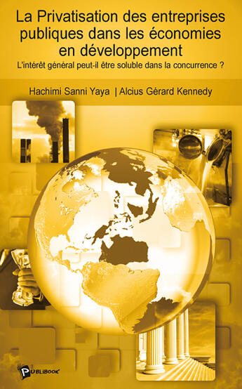 Couverture du livre « La privatisation des entreprises publiques dans les pays en dévelopement » de Hachimi Sanni Yaya aux éditions Publibook